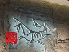 -ARC'TERYX始祖鸟(北京王府中环店)