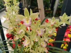 -北京植物园-展览温室