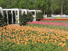 -石家庄市植物园
