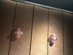 -凤凰湘语(浦东旗舰店)