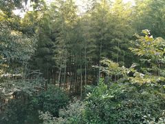 -张鸟园农家乐(张鸟园店)