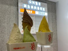 -野人先生现做冰淇淋(北京环宇荟店)