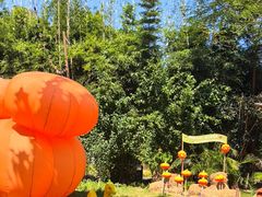 -HERRE·FARM 赫尔露营农场·团建聚会包场