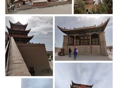 -金塔沙漠胡杨林景区
