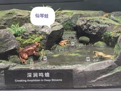 -四川大学博物馆