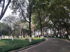 -昆山城市生态森林公园