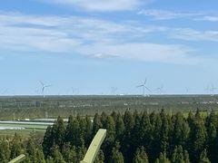 -黄海国家森林公园