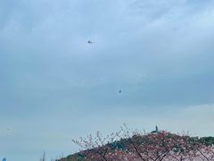 -苏州上方山国家森林公园