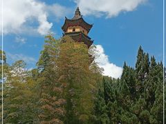 -阿育王寺