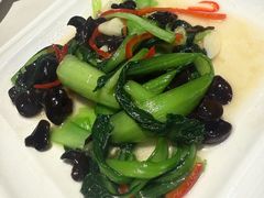 木耳油白菜-诺澜美食