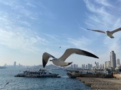 -星海广场