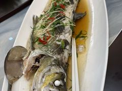 -杨记新泉美食