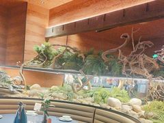 -巡湘记·地道湖南菜(活力城店)