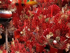 -大自然花鸟鱼虫市场