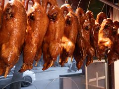 -春梅里卤鹅馆·47年老字号(中山路店)