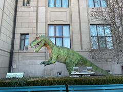 -国家自然博物馆