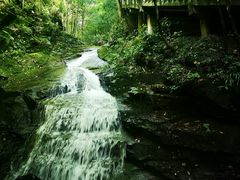 -藏龙百瀑风景区