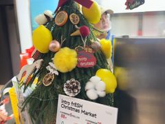 -introlemons(西单更新场·北京首店)