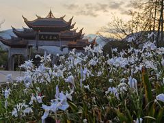 -峨眉山报国寺