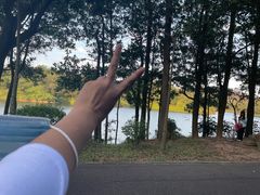 -红花湖景区
