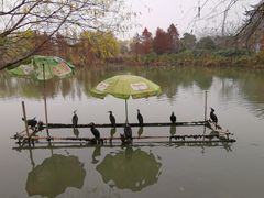 -长兴太湖图影湿地文化园