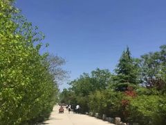 -汤峪温泉碧水湾