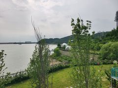-望湖烤鱼