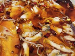 -渝乡辣婆婆·川菜 水煮鱼(中山西路店)