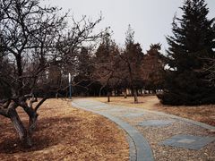 -太阳宫公园