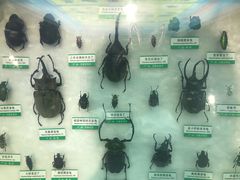 -石家庄市动物园