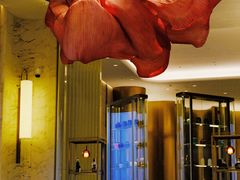 -云厨·高空西餐厅(成都瑯珀·凯悦臻选酒店)