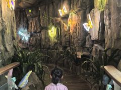 -正佳雨林生态植物园