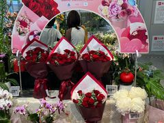 -合肥蜀山万象汇