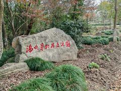 -上海海湾国家森林公园