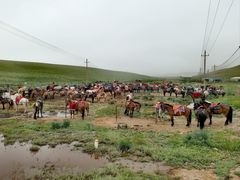 -山丹皇家马场