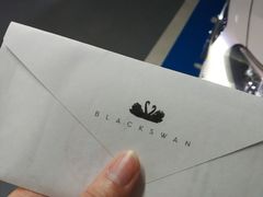 -BLACKSWAN黑天鹅(环球店)