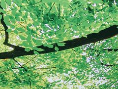 -新世界百货(顺义店)