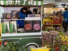 -美罗城