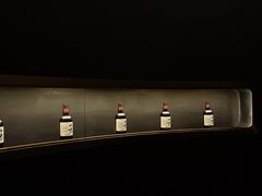 -Hi City·城市之巅