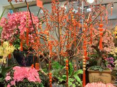 -双季花艺园艺市场(浦东店)