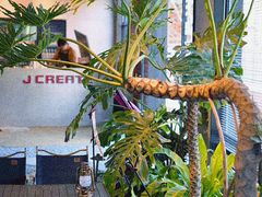 -J Create城市露营咖啡·简餐·宠物(上海动物园店)