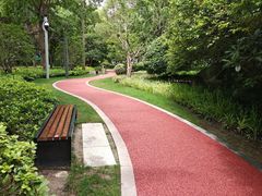 游乐设施-北外滩滨江绿地