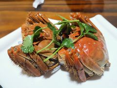 -呼吸森林·生态农庄农家乐私房菜