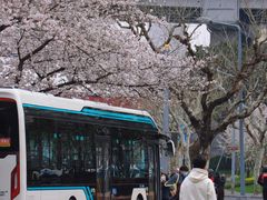 -南浦大桥长途旅游客运站