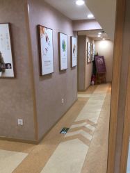 -熙朵美学植发·连锁品牌