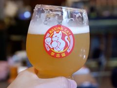 -Boxing Cat Brewery拳击猫精酿啤酒馆(永福店)