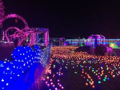 -巨鹏飞梦幻海岸