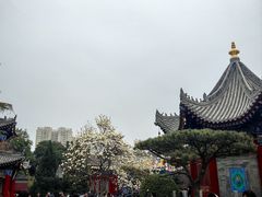-西安市广仁寺