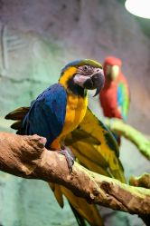 -Zoolung Zoolung动物主题公园(海信广场店)