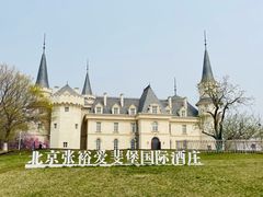 -北京张裕爱斐堡酒庄